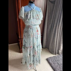 Beautiful Bebe dress